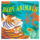 Indestructible Books